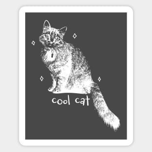 Cool cat Magnet